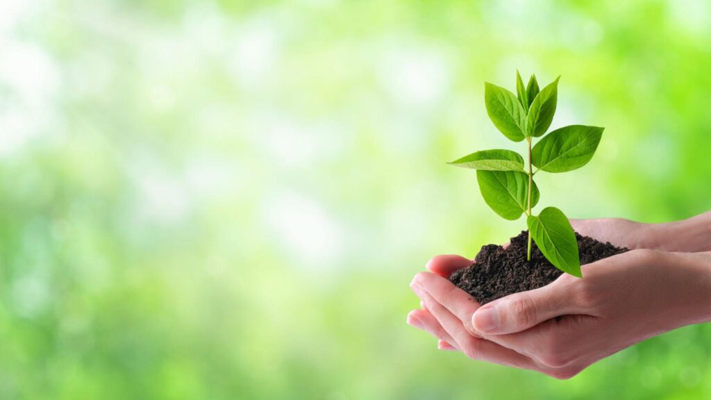 Environmental Science & Climate Change