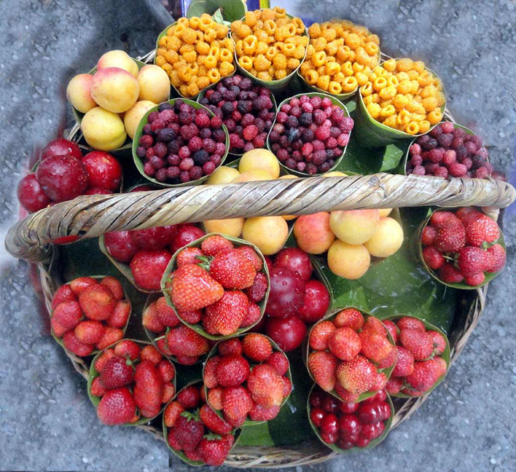 🌿 Top 10 Himalayan Fruits Rich in Vitamins, Minerals, and Antioxidants