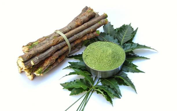 Neem Leaves: Traditional Uses, Benefits, and Precautions 🌿